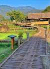 Nature ปาย + แม่ฮ่องสอน Nature ปาย + แม่ฮ่องสอน