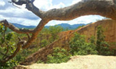 Nature ปาย + แม่ฮ่องสอน Nature ปาย + แม่ฮ่องสอน