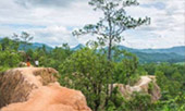 Nature ปาย + แม่ฮ่องสอน Nature ปาย + แม่ฮ่องสอน
