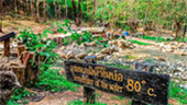 Nature ปาย + แม่ฮ่องสอน Nature ปาย + แม่ฮ่องสอน