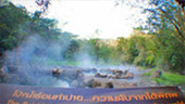 Nature ปาย + แม่ฮ่องสอน Nature ปาย + แม่ฮ่องสอน