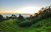 Nature ปาย + แม่ฮ่องสอน Nature ปาย + แม่ฮ่องสอน