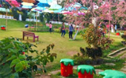 Nature ปาย + แม่ฮ่องสอน Nature ปาย + แม่ฮ่องสอน