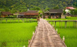 Nature ปาย + แม่ฮ่องสอน Nature ปาย + แม่ฮ่องสอน