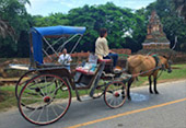 The Loop: เชียงใหม่ - แม่ฮ่องสอน The Loop: เชียงใหม่ - แม่ฮ่องสอน
