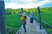 The Loop: เชียงใหม่ - แม่ฮ่องสอน The Loop: เชียงใหม่ - แม่ฮ่องสอน