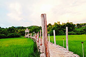 The Loop: เชียงใหม่ - แม่ฮ่องสอน The Loop: เชียงใหม่ - แม่ฮ่องสอน
