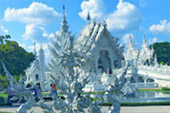 เที่ยวเหนือ - ต้องดอยแม่สลอง เที่ยวเหนือ - ต้องดอยแม่สลอง