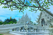 เที่ยวเหนือ - ต้องดอยแม่สลอง เที่ยวเหนือ - ต้องดอยแม่สลอง