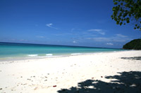 ทัวร์เกาะไม้ท่อนโดยเจซีทัวร์