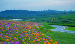 Overnight: ภูเมฆตะวัน Overnight: ภูเมฆตะวัน