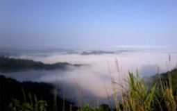 Overnight: ภูเมฆตะวัน Overnight: ภูเมฆตะวัน