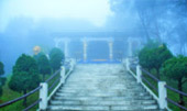 Overnight: ภูเมฆตะวัน Overnight: ภูเมฆตะวัน