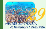 4วัน3คืน พม่า 180 องศา ทะเลพม่าไปครบที่สุด 4วัน3คืน พม่า 180 องศา ทะเลพม่าไปครบที่สุด