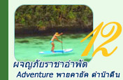 ผจญภัยราชาอำพัต 6วัน 5คืน ผจญภัยราชาอำพัต 6วัน 5คืน