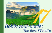 Bob is your uncle: The best Bob is your uncle: The best