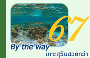 By the way, เกาะสุรินสวยกว่า