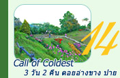Call of Coldest ดอยอ่างขาง ปาย Call of Coldest ดอยอ่างขาง ปาย
