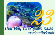 Thai Bay Line เกาะร้านเป็ดร้านไก่ ชุมพร Thai Bay Line เกาะร้านเป็ดร้านไก่ ชุมพร