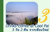 Coffee at Cool Pai 3วัน2คืน Coffee at Cool Pai 3วัน2คืน