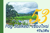 Fog Stalked: เชียงใหม่ 4วัน3คืน