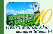Fresh Trace: เมืองปาย Fresh Trace: เมืองปาย