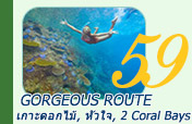 Gorgeous Route เกาะดอกไม้, หัวใจ, 2 Coral Bays Gorgeous Route เกาะดอกไม้, หัวใจ, 2 Coral Bays