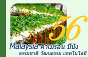 Malaysia: ธรรมชาติ วัฒนธรรม เทคโนโลยี 4วัน
