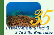 3วัน2คืน เกาะหัวใจ + เกาะซาลิ 3วัน2คืน เกาะหัวใจ + เกาะซาลิ