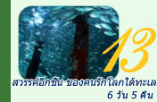 Raja-Ampat สวรรค์อีกชั้น ของคนรักโลกใต้ทะเล Raja-Ampat สวรรค์อีกชั้น ของคนรักโลกใต้ทะเล