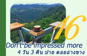 Don't be impressed more 4วัน3คืน ปาย ดอยอ่างขาง Don't be impressed more 4วัน3คืน ปาย ดอยอ่างขาง