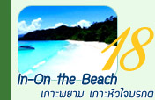 In On The Beach เกาะพยามเกาะหัวใจมรกต In On The Beach เกาะพยามเกาะหัวใจมรกต