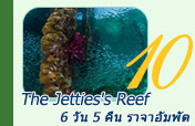 The Jetties's Reef 6วัน5คืน The Jetties's Reef 6วัน5คืน