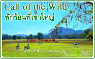 Call of the Wild พักร้อนที่เขาใหญ่