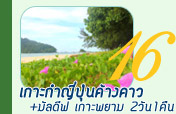 2วัน1คืนเกาะกำญี่ปุ่นค้างคาวเกาะพยาม 2วัน1คืนเกาะกำญี่ปุ่นค้างคาวเกาะพยาม