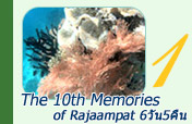 The 10th Memories of Rajaampat The 10th Memories of Rajaampat