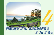 Nature ปาย แม่ฮ่องสอน Nature ปาย แม่ฮ่องสอน