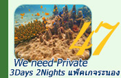 We need Private: 3Days 2Nights แพ็คเกจระนอง We need Private: 3Days 2Nights แพ็คเกจระนอง
