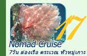 Nomad Cruise: ราจาอัมพัต 7วัน6คืน Nomad Cruise: ราจาอัมพัต 7วัน6คืน
