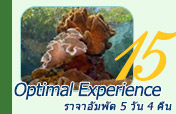 Optimal Experience: ราจาอัมพัต Optimal Experience: ราจาอัมพัต