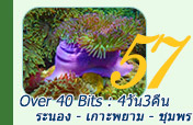 Over 40 Bits : 4วัน3คืน ระนองพยามชุมพร Over 40 Bits : 4วัน3คืน ระนองพยามชุมพร