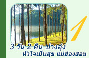 3 วัน 2 คืน ปางอุ๋ง หัวใจเป็นสุข 3 วัน 2 คืน ปางอุ๋ง หัวใจเป็นสุข