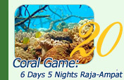 Coral Game 6Days 5Nights Raja-Ampat Coral Game 6Days 5Nights Raja-Ampat