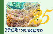 3วัน2คืนระนองชุมพร 3วัน2คืนระนองชุมพร