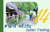 ซาฟารีครึ่งวัน