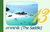 เกาะซาลิ Sali Island Day Trip เกาะซาลิ Sali Island Day Trip