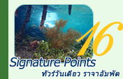 Signature Points ราจาอัมพัต Signature Points ราจาอัมพัต
