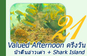 Valued Afternoon: ครึ่งวัน น้ำตื้นอ่าวเต่า Shark Island