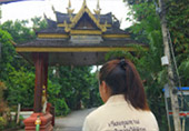 Cool Experience: ม่อนแจ่ม เชียงใหม่ Cool Experience: ม่อนแจ่ม เชียงใหม่