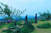 Cool Experience: ม่อนแจ่ม เชียงใหม่ Cool Experience: ม่อนแจ่ม เชียงใหม่
